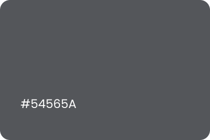 #54565a